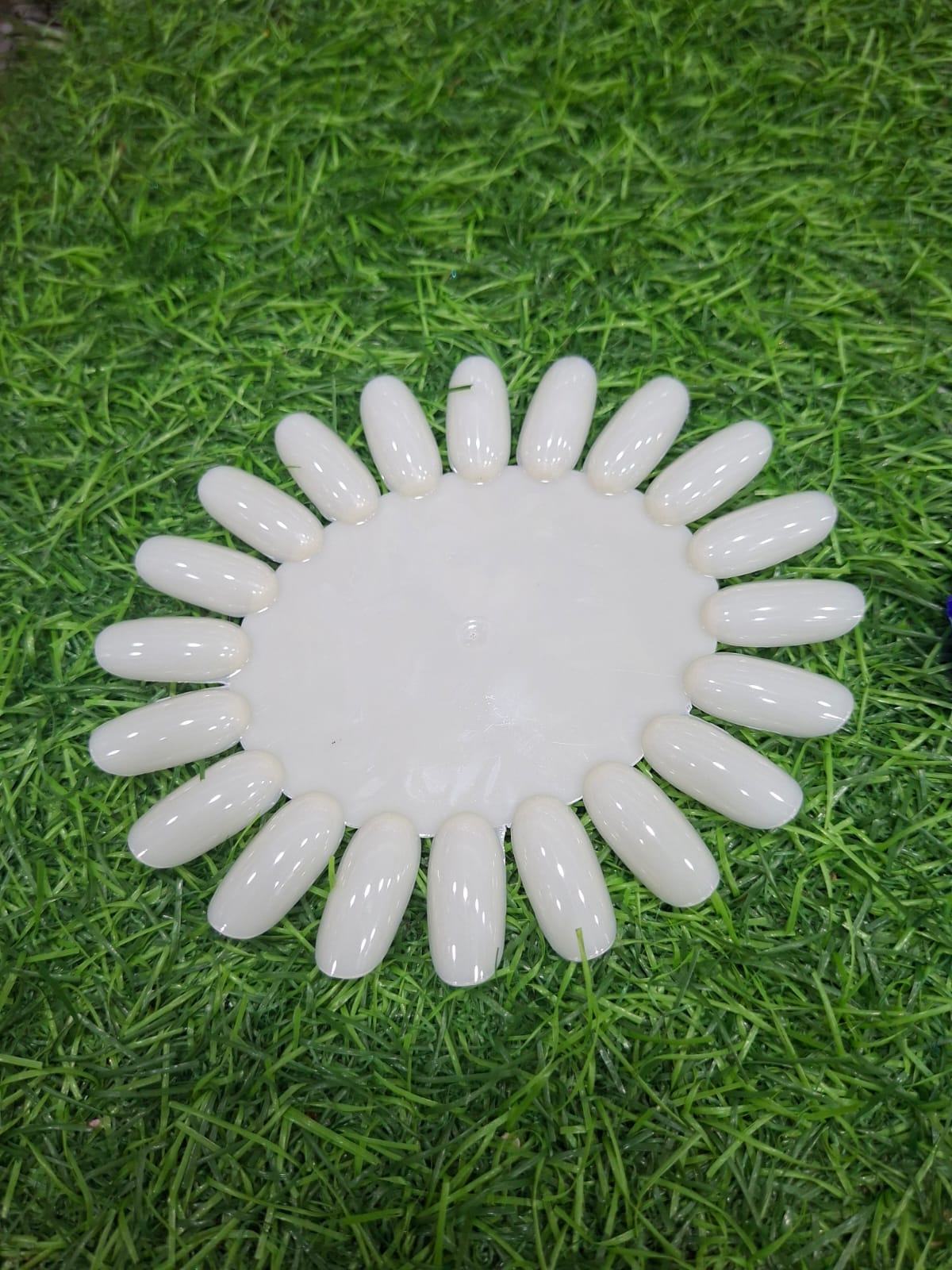 𝐑𝐨𝐮𝐧𝐝 𝐝𝐢𝐬𝐩𝐥𝐚𝐲 𝐩𝐚𝐥𝐥𝐞𝐭